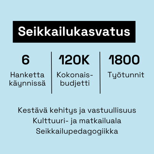 Seikkailukasvatus: hankkeita käynnissä 6, kokonaisbudjetti 120K, työtunnit 1800. Teemat: Kestävä kehitys ja vastuullisuus, kulttuuri- ja matkailuala sekä seikkailupedagogiikka.